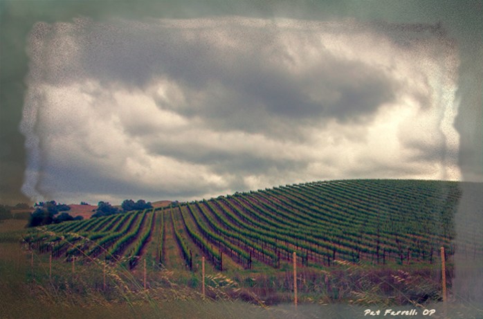Whether seeing clouds or the vineyard - or both - it is a world of glory