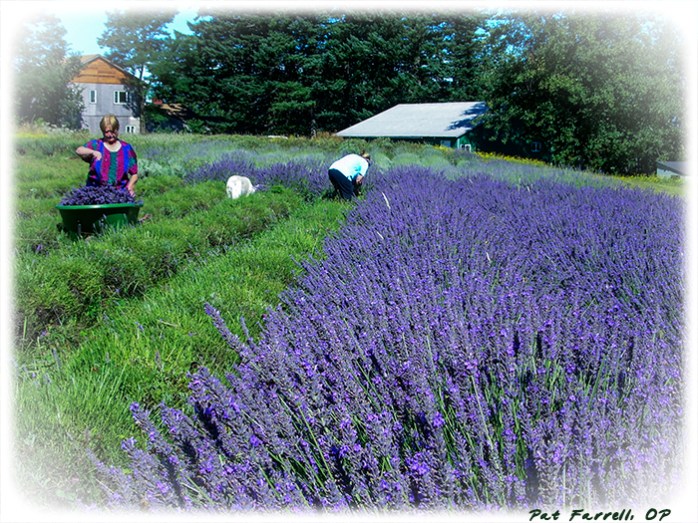 Demonstrating hope in the possible