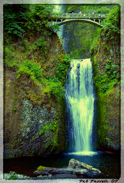 5-17_portland_082007__039