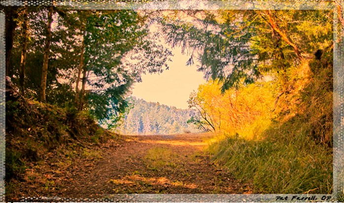 5-5_redwoods_monastery_2013_079