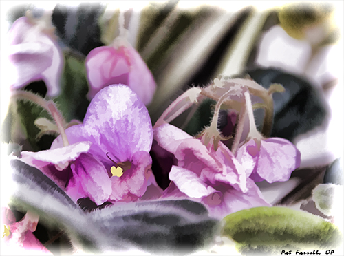 Not exactly crushed, but a little past its prime