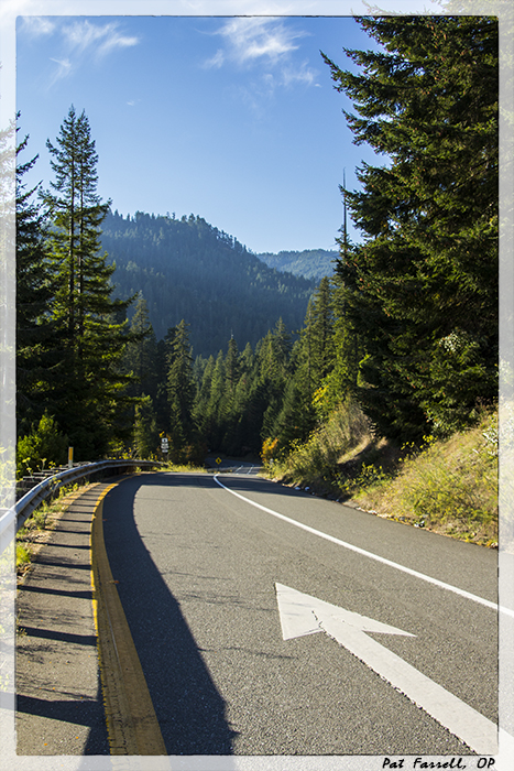 We must take responsibility for our future