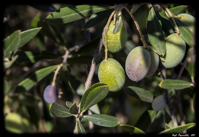 Wisdom is also knowing what NOT to overlook