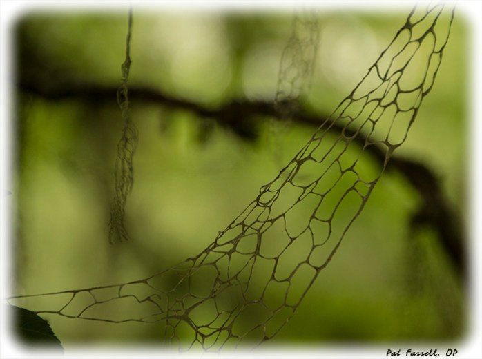 crane_creek_park_2013_168