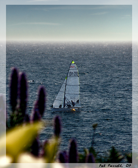 The ecstasy of sailing