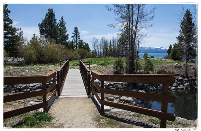 Who's footsteps will you follow?