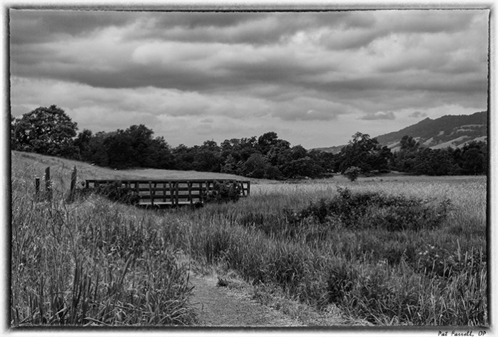 crane_creek_park_2013_053