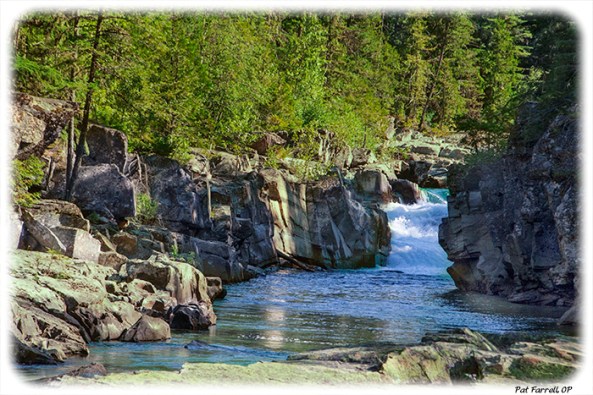 The extravagant generosity of nature