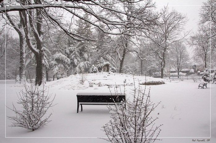 But I don notice that people don't sit on the snow cushions on these benches