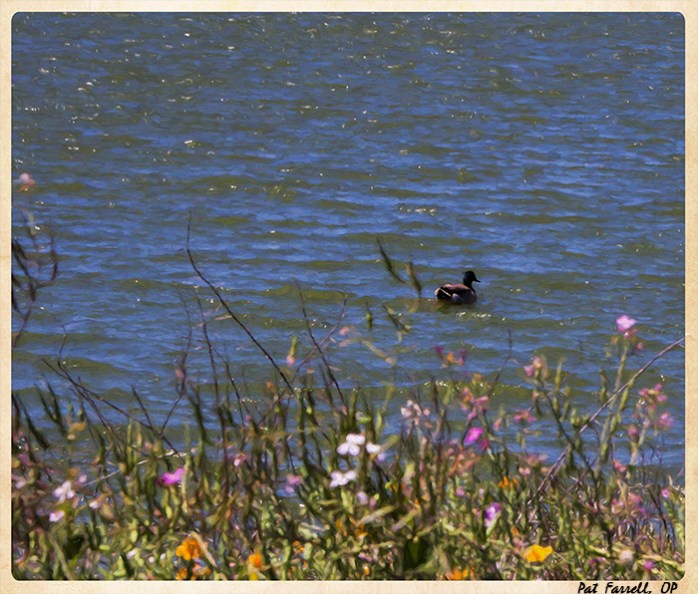 A universe to be at one with