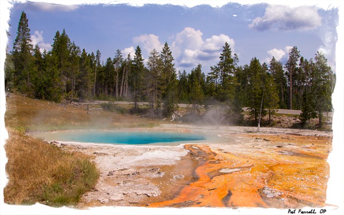 And what does this tremendous diversity in creation tell us about the Creator?