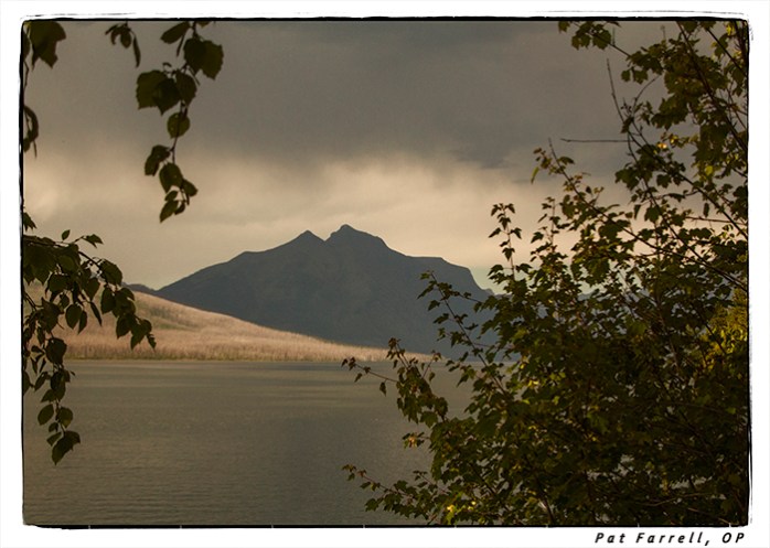 cross_country_2014_0079