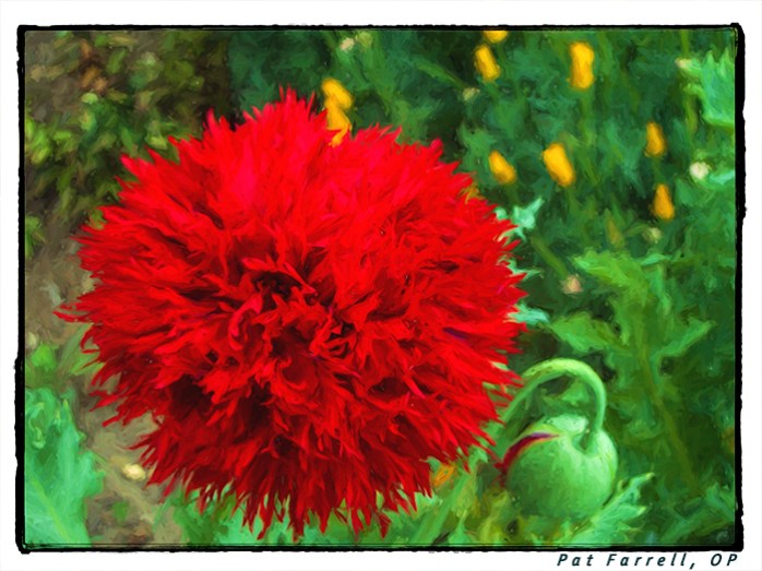 del_mar_council_2011_081