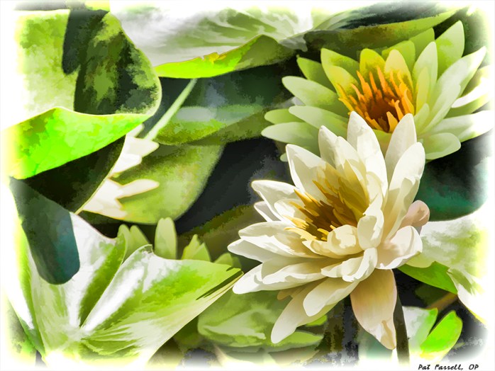 descanso_gardens_2011_019