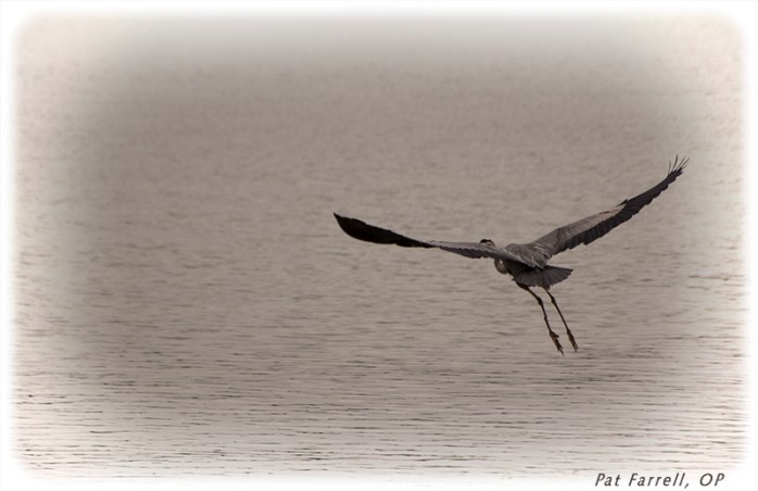 finger_lakes_2015_037