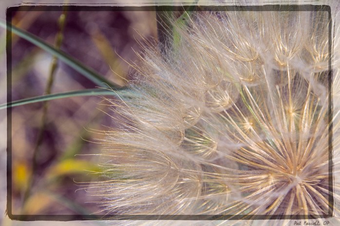 cross_country_2014_0281