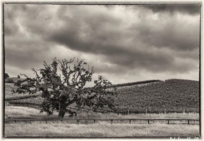 crane_creek_park_2013_049