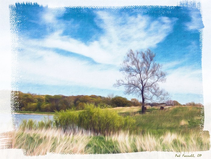 jubilee_farm_may_2015_005