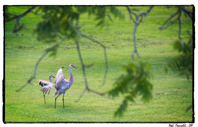 guest_house_2016_016