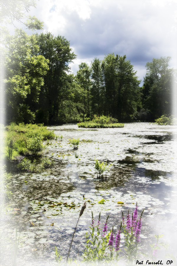 guest_house_2016_065