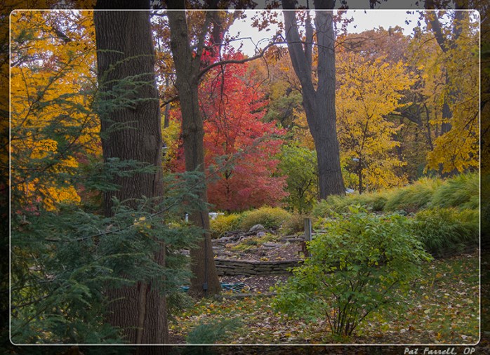 autumn_river_forest_2013_035