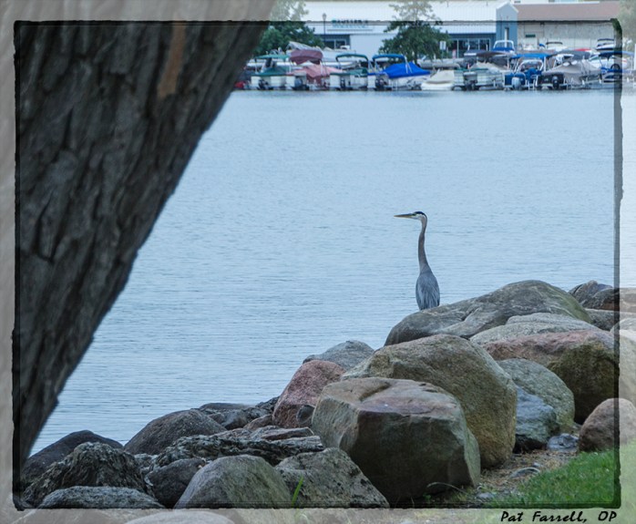 finger_lakes_2015_034