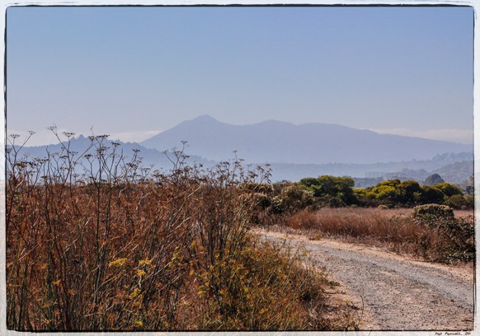 las_gallinas_2013_039